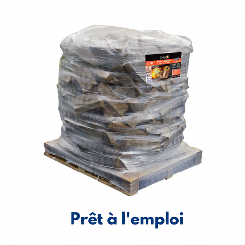 Demi_Ballot_pret_emploi_m