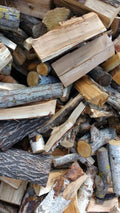 Bois de Chauffage — Hêtre 100% Étuvé (30-33 cm)