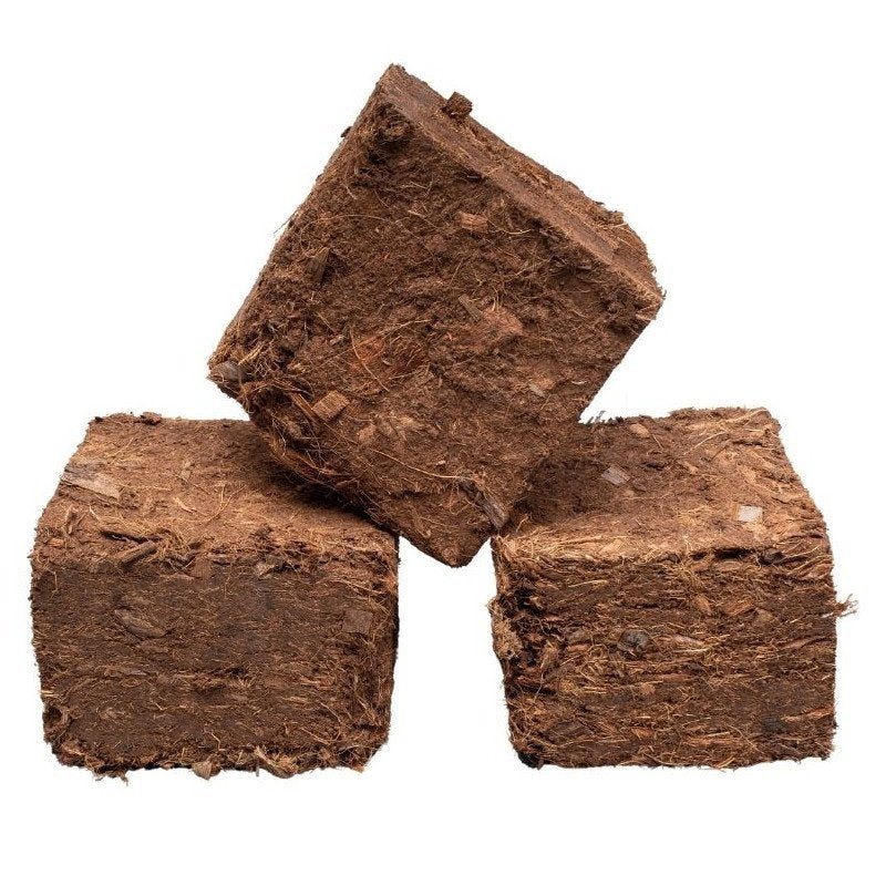 Briquettes de bois compressé Longue durée – Spécial nuit – Image 3