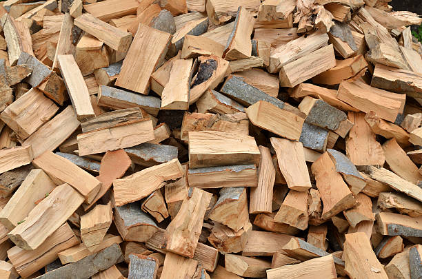 10 Stères de Bûches 50 cm en Vrac (8m3) 100 % feuillus durs stockés à l’abri. Prêt à l’emploi.